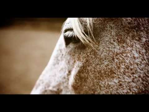 Remate Reconquista Junho de 2012