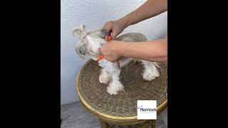 Postroj pro psa Tlapky 10mm