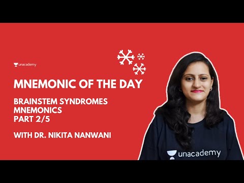 Brainstem syndromes mnemonics - Part 1/5-  Basic concepts | Dr. Nikita Nanwani