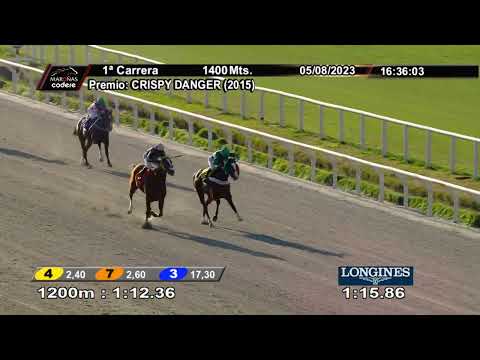 230805 c01 CUORE DI GLORIA (BRZ)