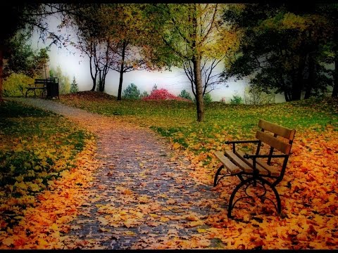 1 Hour Positive Thinking Meditation Relaxing  Music