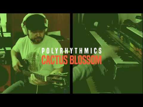 Polyrhythmics - Cactus Blossom [Official Video]
