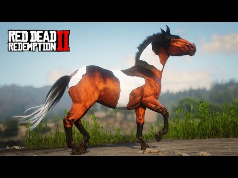 Achando e Domando o  NEMO o cavalo NARARIS  -   O COLECIONADOR DE CAVALOS -  ep20