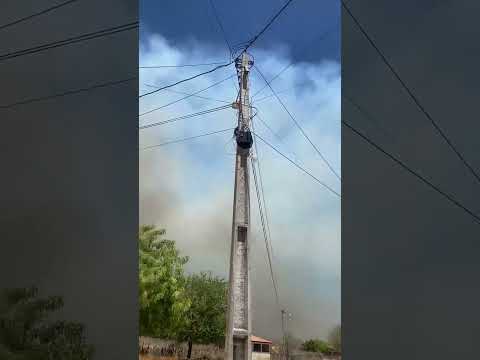 incêndio na Divisa de campo Alegre de Lurdes Bahia e pilão Arcado Bahia