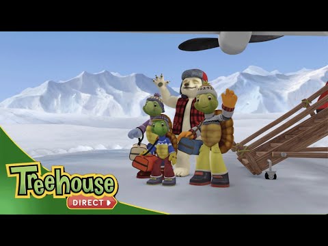 NEW COMPILATION | Franklin | New Winter Special! - Kids TV Series, Kingdom Kids Zone - Treehouse Direct