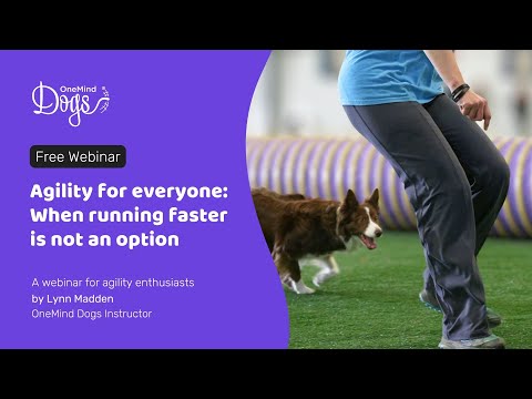 FREE Webinar: Agility for everyone: When running faster is not an option