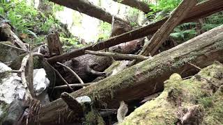 Strange find, high in the mountains today.