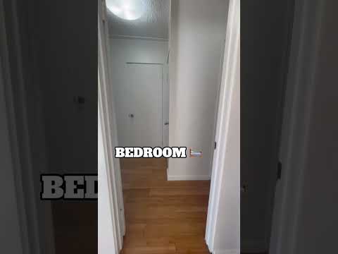 LB1513 - Video 2 of 2