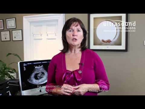 8 Weeks Pregnant - Your 8th Week Of Pregnancy