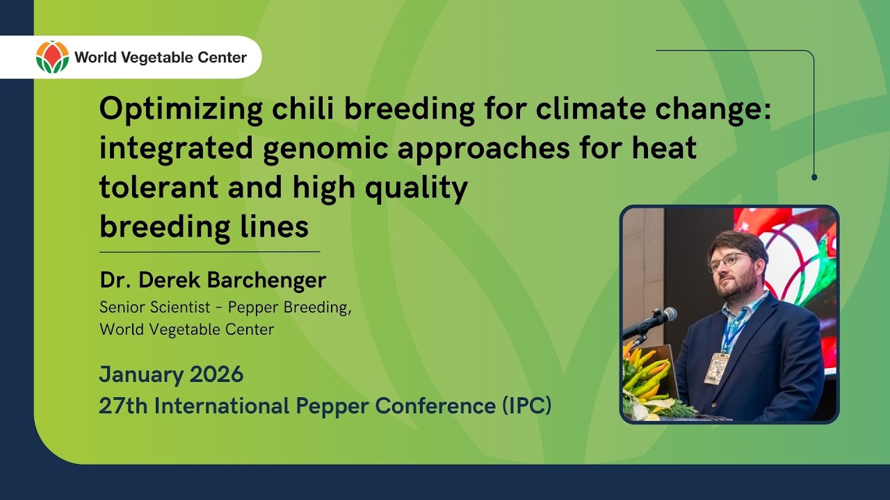 Optimizing chili pepper breeding for climate change