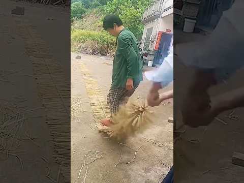 Modren Farming #shorts #agriculture #farming2024 #youngfarmers #EliteShortsUnleashed #2268