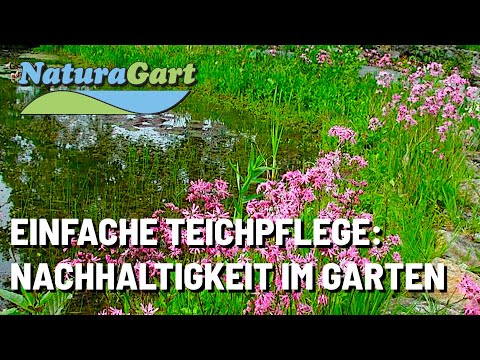 Wenige Schritte zum pflegeleichten Gartenteich
