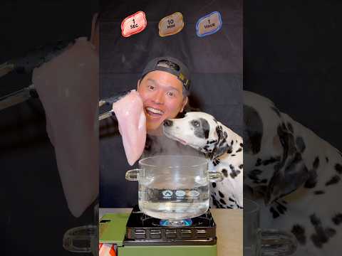 1 Second vs 1 Hour Boiled Chicken! ft. Dalmatian