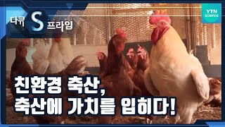친환경축산, 축산에 가치를 입히다! / YTN 사이언스
