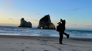 One year of traveling in New Zealand