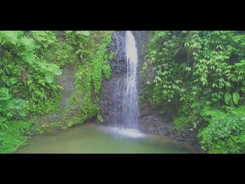 Cherry Berry Ft Micky Vibes - Viens avec moi