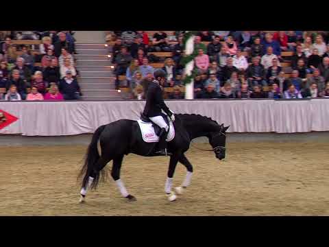 Morricone II Millenium x Rubin Royal x De Niro