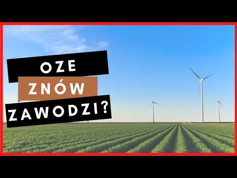 Krew się leje na budowlance - Toya, Erbud, ONDE, Torpol