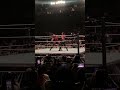 Jacb Fatu Vs Tala Tonga Face To Face Live Event