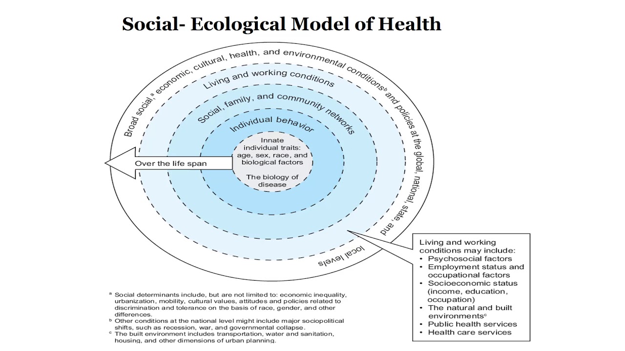 Social Ecological Model