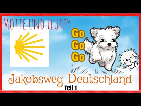 Jakobsweg in Deutschland | Teil 1 | BÖSE SCHWÄNE UND ZUCKERSCHOCK BEIM HUND !