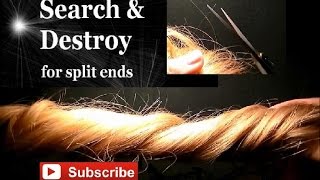 Search and destroy for split ends (hair floor length)