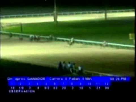 Resumen Viernes, 16 de Diciembre de 2011 - Valencia