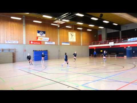 Faustball 1.Bundesliga - VfL Kellinghusen - TV Jahn Schneverdingen - 17.11.2013