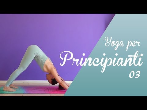 Yoga Beginners 03 - Focus on Strength