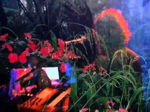 Martin L. Gore - Compulsion