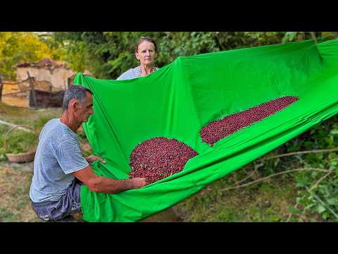 This Village Juice Recipe Will SHOCK You! 🍒🧃 Albanians Turn Wild Cherries Into Gold! 🇦🇱🤯