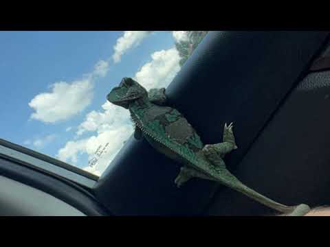 I might (Ft. YungDeezy)