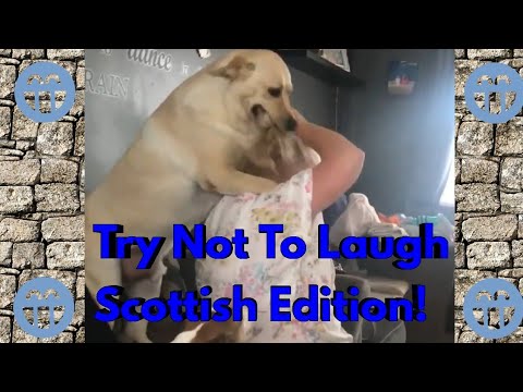 Try Not To Laugh Scottish Edition:#1  (Watch If You're Having A Bad Day)