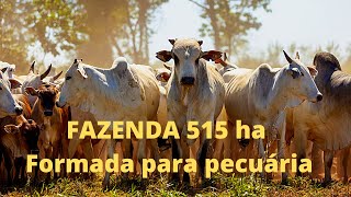 FAZENDA 515 HECTARES NO VALE DO PARAÍBA (Roseira SP)