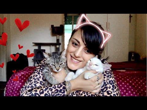 ABBIAMO ADOTTATO DUE GATTINI ! 😻