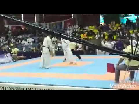 2019 kyokushin karate