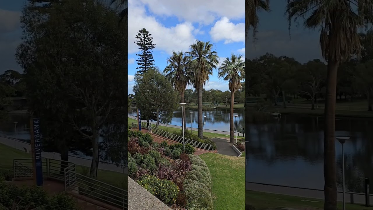 YouTube Short thumbnail