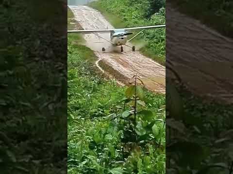 Coragem ou loucura !? 😁😅🇧🇷