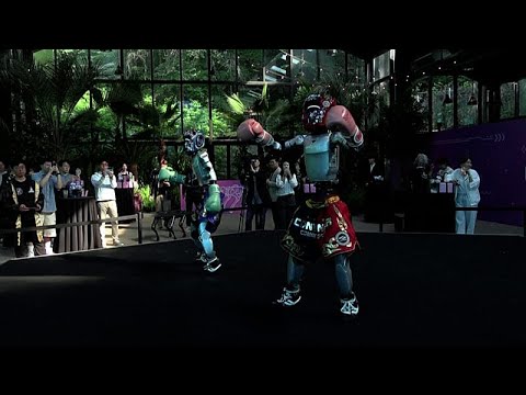 Video Thumbnail: South Korea opens Galaxy Robot Park in Seoul with K-pop, AI shows and family fun