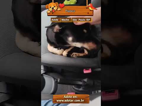 Vídeo de Pipoca
