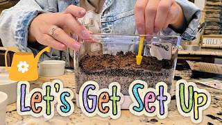 Root Viewer Kit Lets Kids Watch Roots Grow