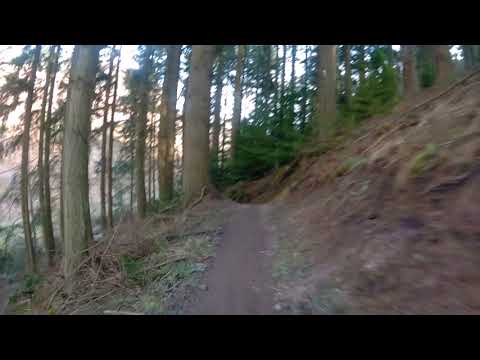 2019 0217 005606 032