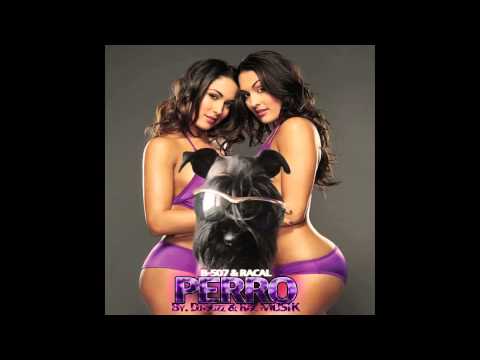 PERRO - BARBERO 507 FT EL RACAL