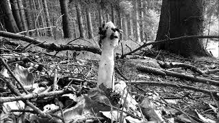 Haleluja Sound System - Anděli, Anděli, Anděli (rmx by Holubec, 