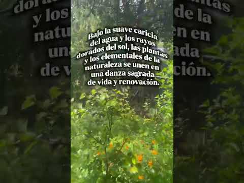 #equinacea #cordoba #capilladelmonte #cerrouritorco