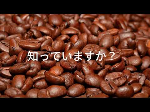 YouTube動画編集対応します イメージ1