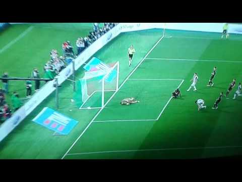 Finale di coppa italia Milan 0-1 Juventus Goal Morata