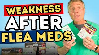 Before Giving Flea and Tick Medication, Watch This