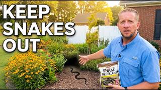 Keep Snakes Out of Your Yard With These 5 Tips