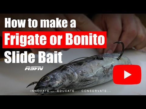 Frigate or Bonito Slide Bait | Tips & Techniques | ASFN Baits & Traces